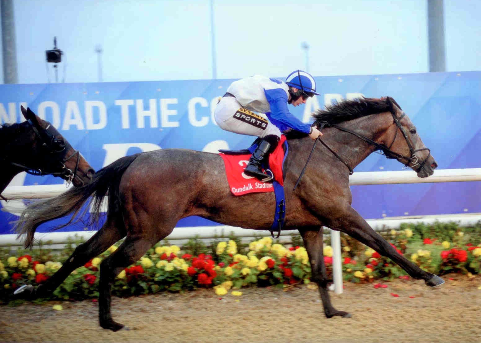 ZUBERI wins the claimer at Dundalk Friday 9th October 2015